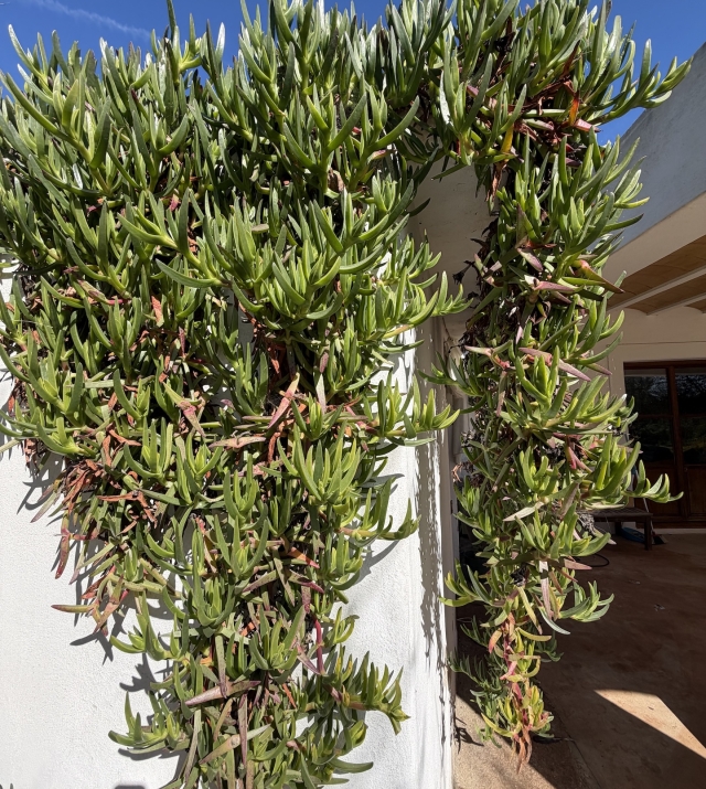 Resa Estates Finca san Miguel for sale offline 1.jpeg